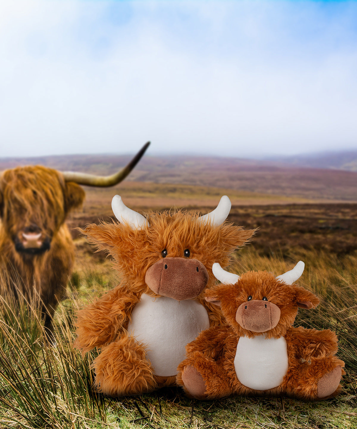 MM565  Zippie highland cow