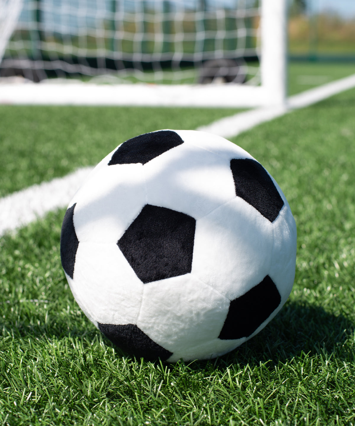 MM583  Zippie football