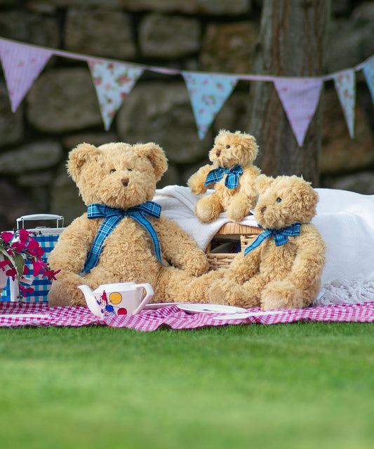 MM001 - Bracken bear